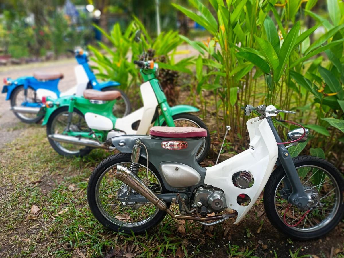 Karma Traders Kampot Hostel Εξωτερικό φωτογραφία